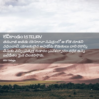 Picture 02 - లేవీకాండం 1:5 TELIRV - తరువాత అతడు - Bible Verse Picture