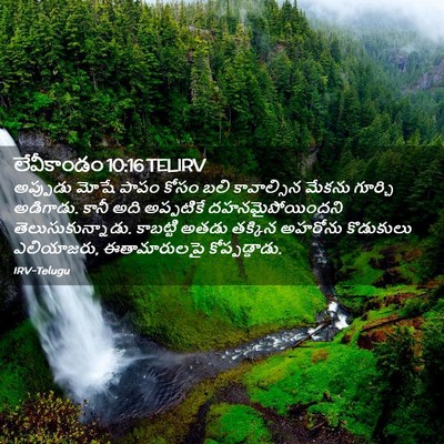 Picture 02 - లేవీకాండం 10:16 TELIRV - అప్పుడు మోషే పాపం - Bible Verse Picture