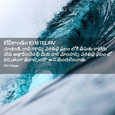 Picture 02 - లేవీకాండం 10:18 TELIRV - చూడండి, దాని - Bible Verse Picture