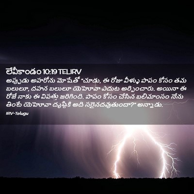 Picture 02 - లేవీకాండం 10:19 TELIRV - అప్పుడు అహరోను - Bible Verse Picture