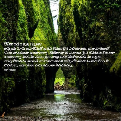 Picture 02 - లేవీకాండం 10:6 TELIRV - అప్పుడు మోషే - Bible Verse Picture