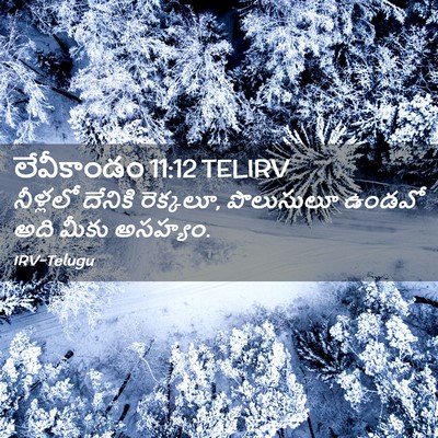Picture 02 - లేవీకాండం 11:12 TELIRV - నీళ్లలో దేనికి - Bible Verse Picture