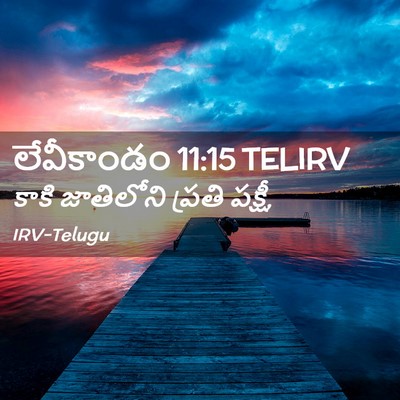 Picture 02 - లేవీకాండం 11:15 TELIRV - కాకి జాతిలోని - Bible Verse Picture