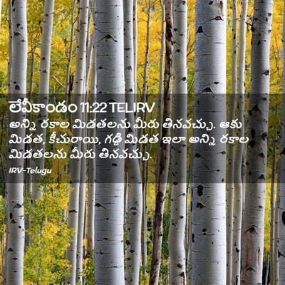 Picture 02 - లేవీకాండం 11:22 TELIRV - అన్ని రకాల - Bible Verse Picture