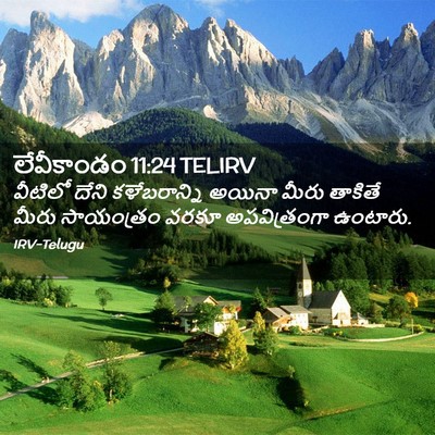 Picture 02 - లేవీకాండం 11:24 TELIRV - వీటిలో దేని - Bible Verse Picture