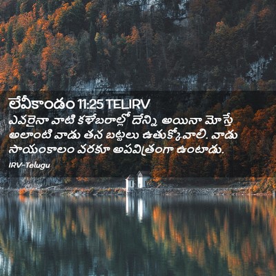 Picture 02 - లేవీకాండం 11:25 TELIRV - ఎవరైనా వాటి - Bible Verse Picture