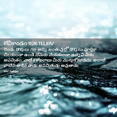 Picture 02 - లేవీకాండం 11:26 TELIRV - రెండు డెక్కలు గల - Bible Verse Picture