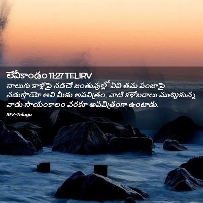 Picture 02 - లేవీకాండం 11:27 TELIRV - నాలుగు కాళ్లపై - Bible Verse Picture