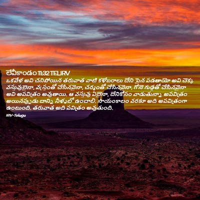 Picture 02 - లేవీకాండం 11:32 TELIRV - ఒకవేళ అవి - Bible Verse Picture