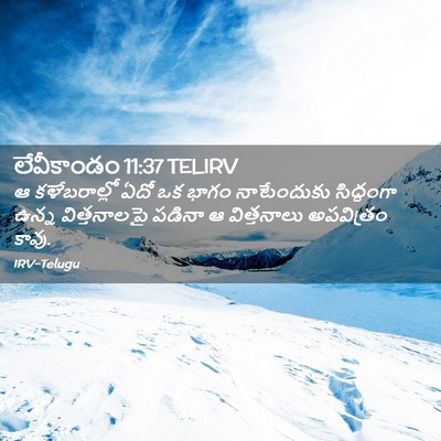 Picture 02 - లేవీకాండం 11:37 TELIRV - ఆ కళేబరాల్లో ఏదో - Bible Verse Picture