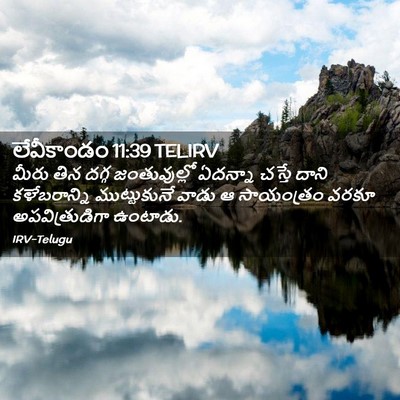 Picture 02 - లేవీకాండం 11:39 TELIRV - మీరు తిన దగ్గ - Bible Verse Picture