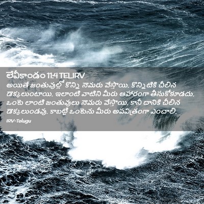 Picture 02 - లేవీకాండం 11:4 TELIRV - అయితే జంతువుల్లో - Bible Verse Picture