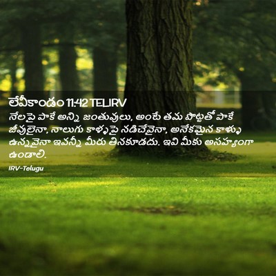 Picture 02 - లేవీకాండం 11:42 TELIRV - నేలపై పాకే అన్ని - Bible Verse Picture
