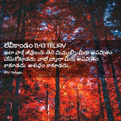 Picture 02 - లేవీకాండం 11:43 TELIRV - ఇలా పాకే జీవులను - Bible Verse Picture