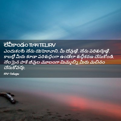 Picture 02 - లేవీకాండం 11:44 TELIRV - ఎందుకంటే నేను - Bible Verse Picture