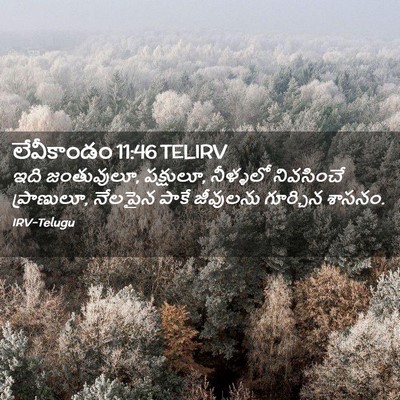 Picture 02 - లేవీకాండం 11:46 TELIRV - ఇది జంతువులూ, - Bible Verse Picture