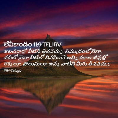 Picture 02 - లేవీకాండం 11:9 TELIRV - జలచరాల్లో వీటిని - Bible Verse Picture
