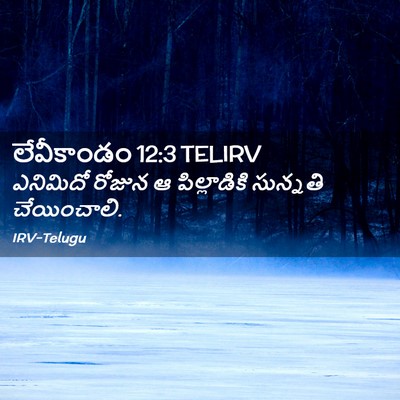Picture 02 - లేవీకాండం 12:3 TELIRV - ఎనిమిదో రోజున ఆ - Bible Verse Picture