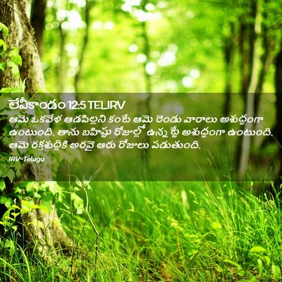 Picture 02 - లేవీకాండం 12:5 TELIRV - ఆమె ఒకవేళ - Bible Verse Picture