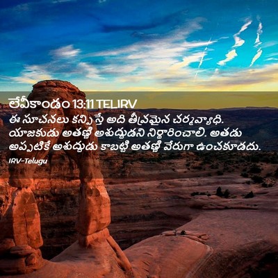 Picture 02 - లేవీకాండం 13:11 TELIRV - ఈ సూచనలు - Bible Verse Picture