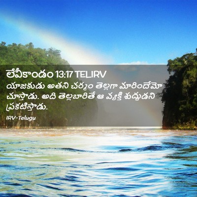 Picture 02 - లేవీకాండం 13:17 TELIRV - యాజకుడు అతని - Bible Verse Picture
