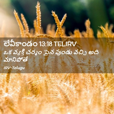 Picture 02 - లేవీకాండం 13:18 TELIRV - ఒక వ్యక్తి చర్మం - Bible Verse Picture