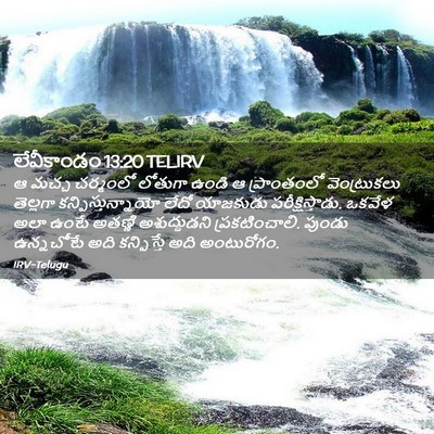 Picture 02 - లేవీకాండం 13:20 TELIRV - ఆ మచ్చ చర్మంలో - Bible Verse Picture
