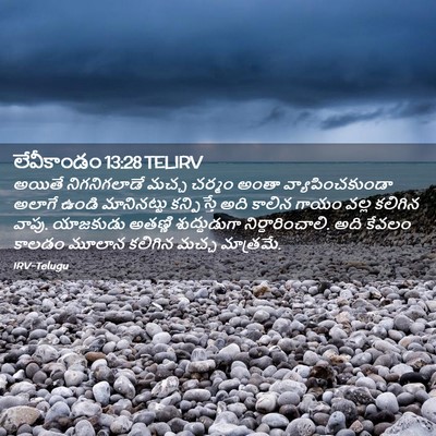 Picture 02 - లేవీకాండం 13:28 TELIRV - అయితే నిగనిగలాడే - Bible Verse Picture
