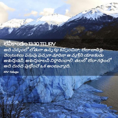 Picture 02 - లేవీకాండం 13:30 TELIRV - అది చర్మంలో - Bible Verse Picture