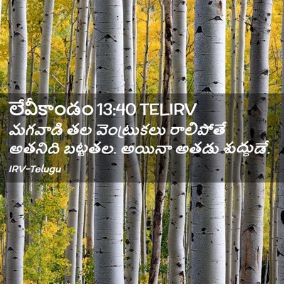 Picture 02 - లేవీకాండం 13:40 TELIRV - మగవాడి తల - Bible Verse Picture