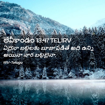 Picture 02 - లేవీకాండం 13:47 TELIRV - ఏదైనా బట్టలకు - Bible Verse Picture