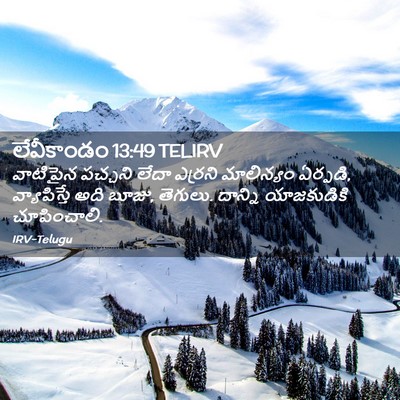 Picture 02 - లేవీకాండం 13:49 TELIRV - వాటిపైన పచ్చని - Bible Verse Picture