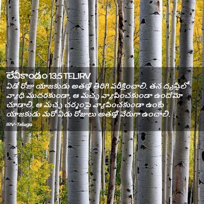 Picture 02 - లేవీకాండం 13:5 TELIRV - ఏడో రోజు యాజకుడు - Bible Verse Picture