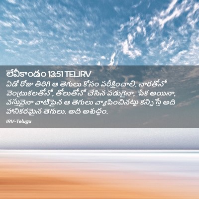 Picture 02 - లేవీకాండం 13:51 TELIRV - ఏడో రోజు తిరిగి ఆ - Bible Verse Picture