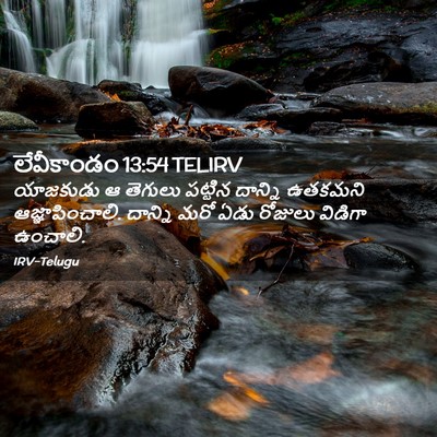 Picture 02 - లేవీకాండం 13:54 TELIRV - యాజకుడు ఆ తెగులు - Bible Verse Picture