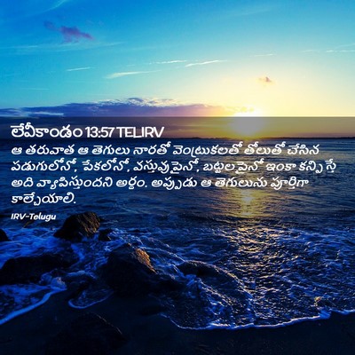 Picture 02 - లేవీకాండం 13:57 TELIRV - ఆ తరువాత ఆ తెగులు - Bible Verse Picture