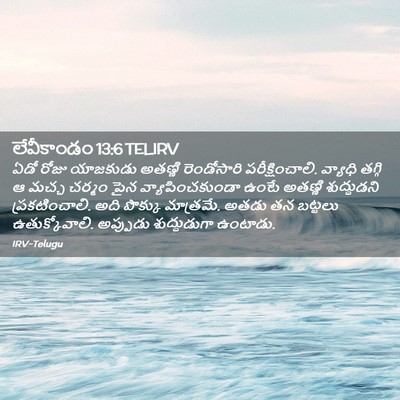 Picture 02 - లేవీకాండం 13:6 TELIRV - ఏడో రోజు యాజకుడు - Bible Verse Picture