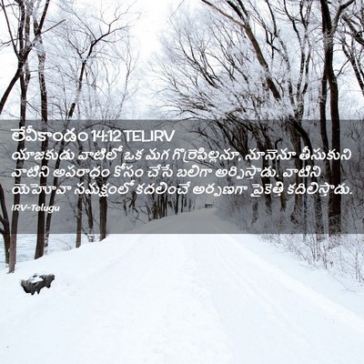Picture 02 - లేవీకాండం 14:12 TELIRV - యాజకుడు వాటిలో ఒక - Bible Verse Picture