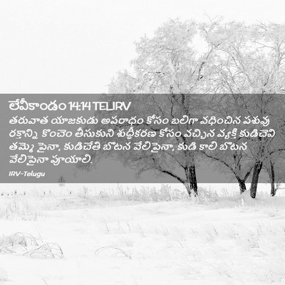 Picture 02 - లేవీకాండం 14:14 TELIRV - తరువాత యాజకుడు - Bible Verse Picture
