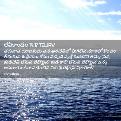 Picture 02 - లేవీకాండం 14:17 TELIRV - తరువాత యాజకుడు తన - Bible Verse Picture