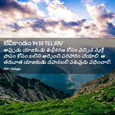 Picture 02 - లేవీకాండం 14:19 TELIRV - అప్పుడు యాజకుడు - Bible Verse Picture