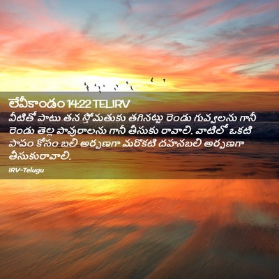 Picture 02 - లేవీకాండం 14:22 TELIRV - వీటితో పాటు తన - Bible Verse Picture