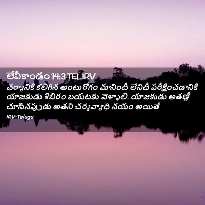 Picture 02 - లేవీకాండం 14:3 TELIRV - చర్మానికి కలిగిన - Bible Verse Picture