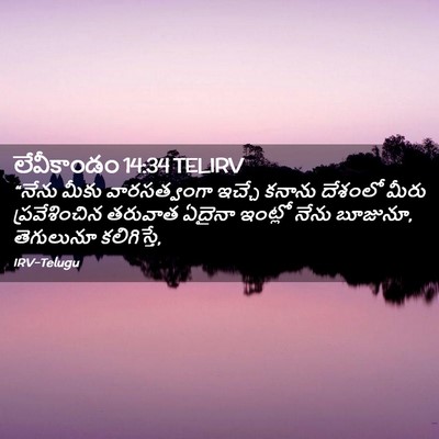 Picture 02 - లేవీకాండం 14:34 TELIRV - “నేను మీకు - Bible Verse Picture