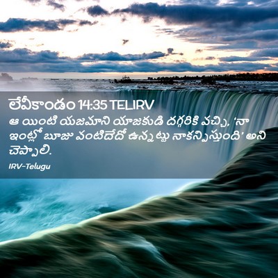 Picture 02 - లేవీకాండం 14:35 TELIRV - ఆ యింటి యజమాని - Bible Verse Picture