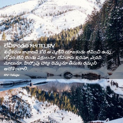 Picture 02 - లేవీకాండం 14:4 TELIRV - శుద్ధీకరణ కావాలని - Bible Verse Picture