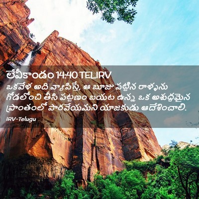 Picture 02 - లేవీకాండం 14:40 TELIRV - ఒకవేళ అది - Bible Verse Picture