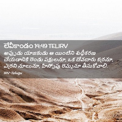 Picture 02 - లేవీకాండం 14:49 TELIRV - అప్పుడు యాజకుడు ఆ - Bible Verse Picture