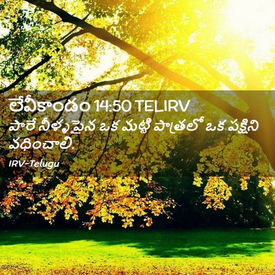 Picture 02 - లేవీకాండం 14:50 TELIRV - పారే నీళ్ళపైన ఒక - Bible Verse Picture