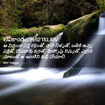 Picture 02 - లేవీకాండం 14:52 TELIRV - ఆ విధంగా పక్షి - Bible Verse Picture